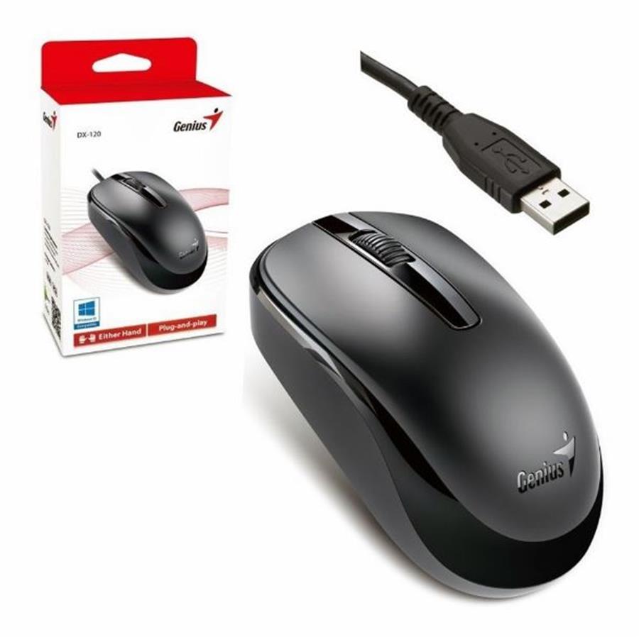 Mouse Genius Dx-120 Usb Negro