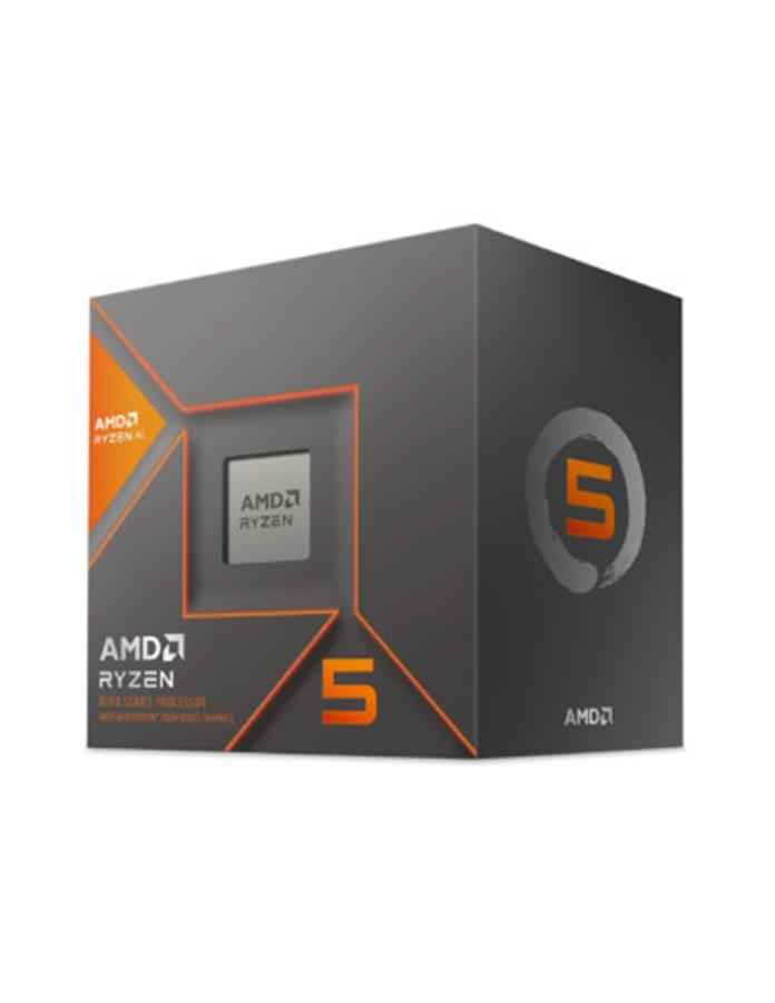 Micro Amd Ryzen 5 8500g Am5 (CON Video)